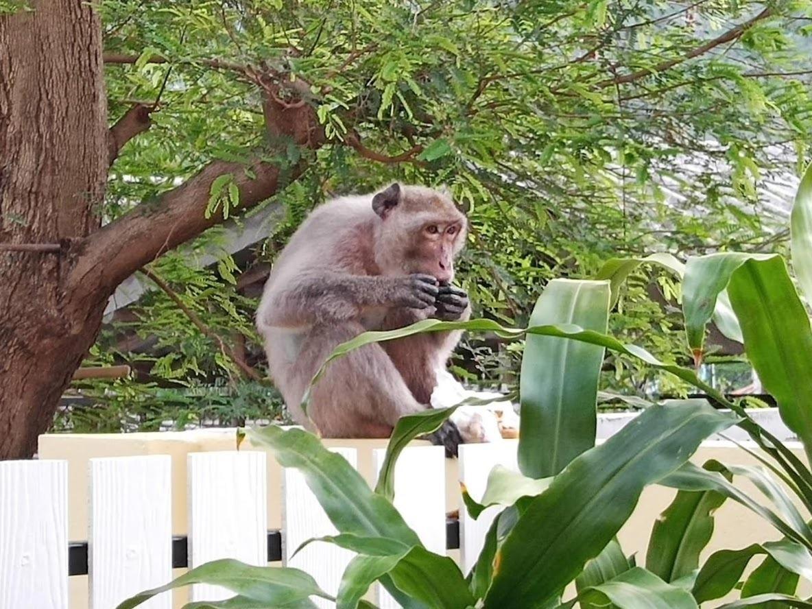Yen~Yen B&B Prachuap Khiri Khan Dış mekan fotoğraf